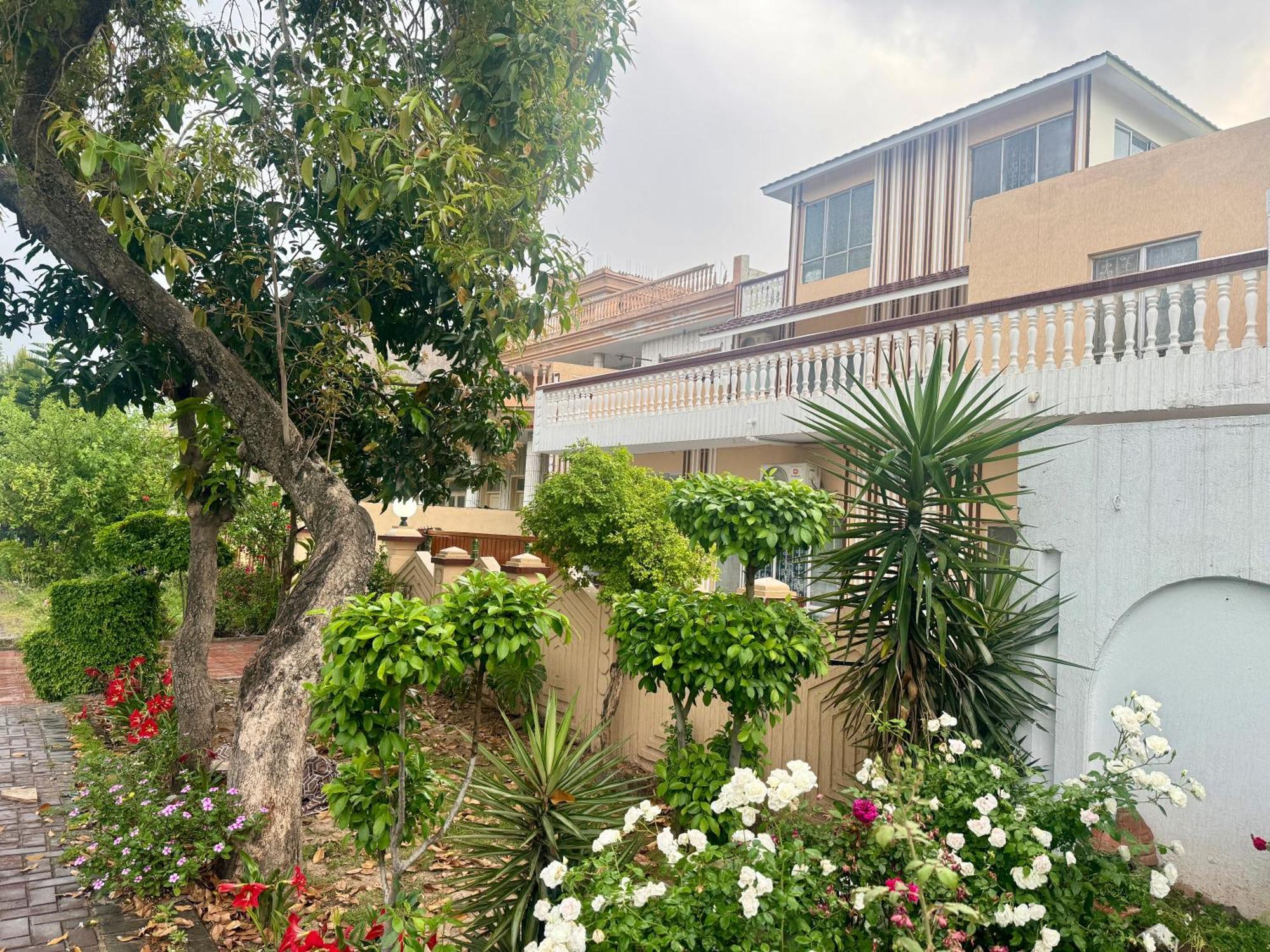 Decent Lodge Guest House Islamabad Zewnętrze zdjęcie